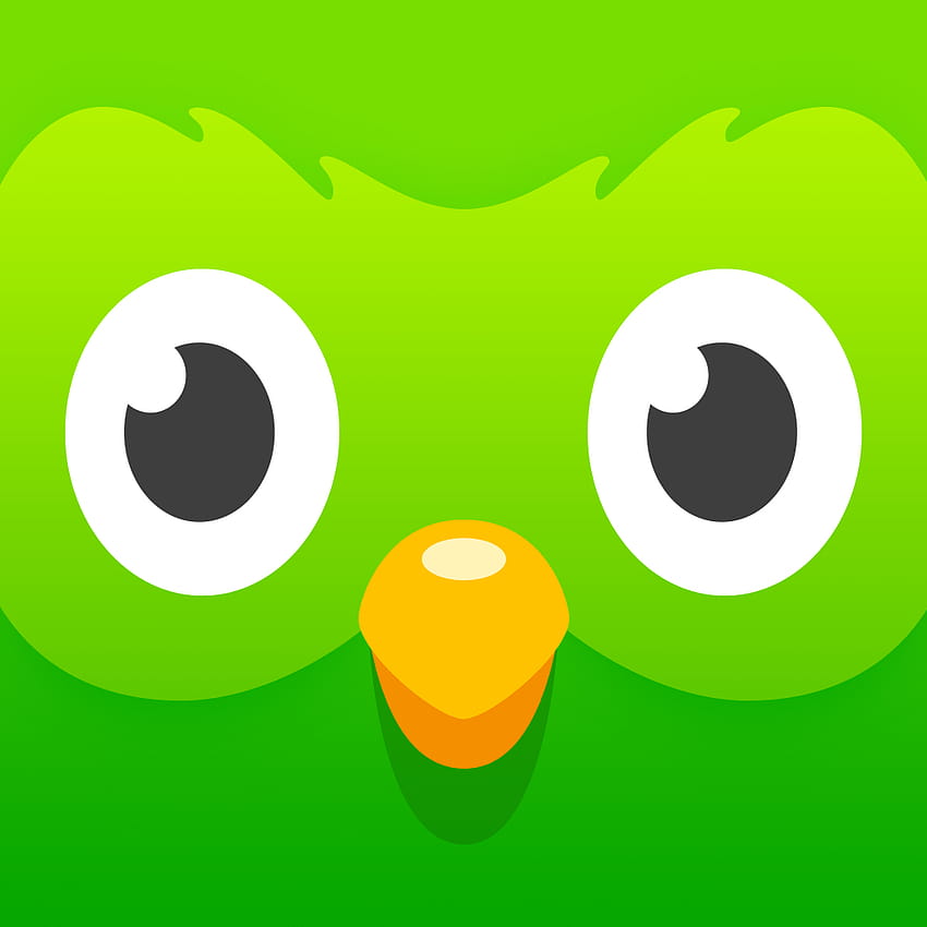 Duolingo Plus